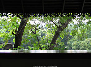 Kandawgyi Palace Hotel, Rangoon, Burma Balcony view