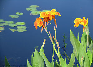 Photo of Lake Inya, Yangon, Myanmar
