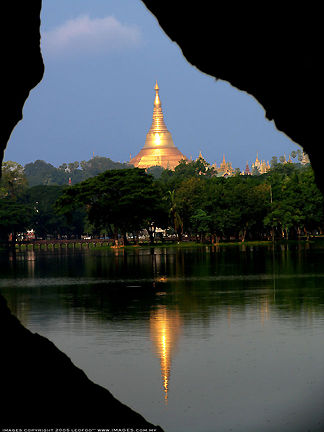 A vertical tree-framed grand looking picture of Shwedagon Pagoda from lake view