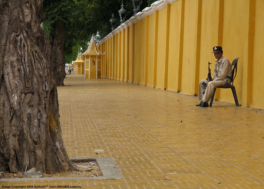 Royal Palace Guard at Side  wall loading ...