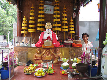 Full section view Madam Penh 212k on enlargement