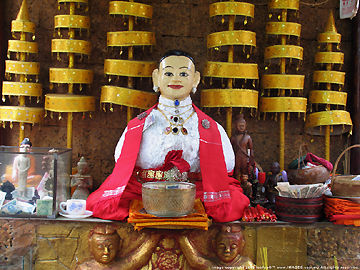 A lovely detailed image on Madam Penh 154k on enlargement