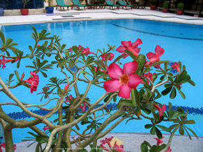 Old French Colonial stype building in Cambodia