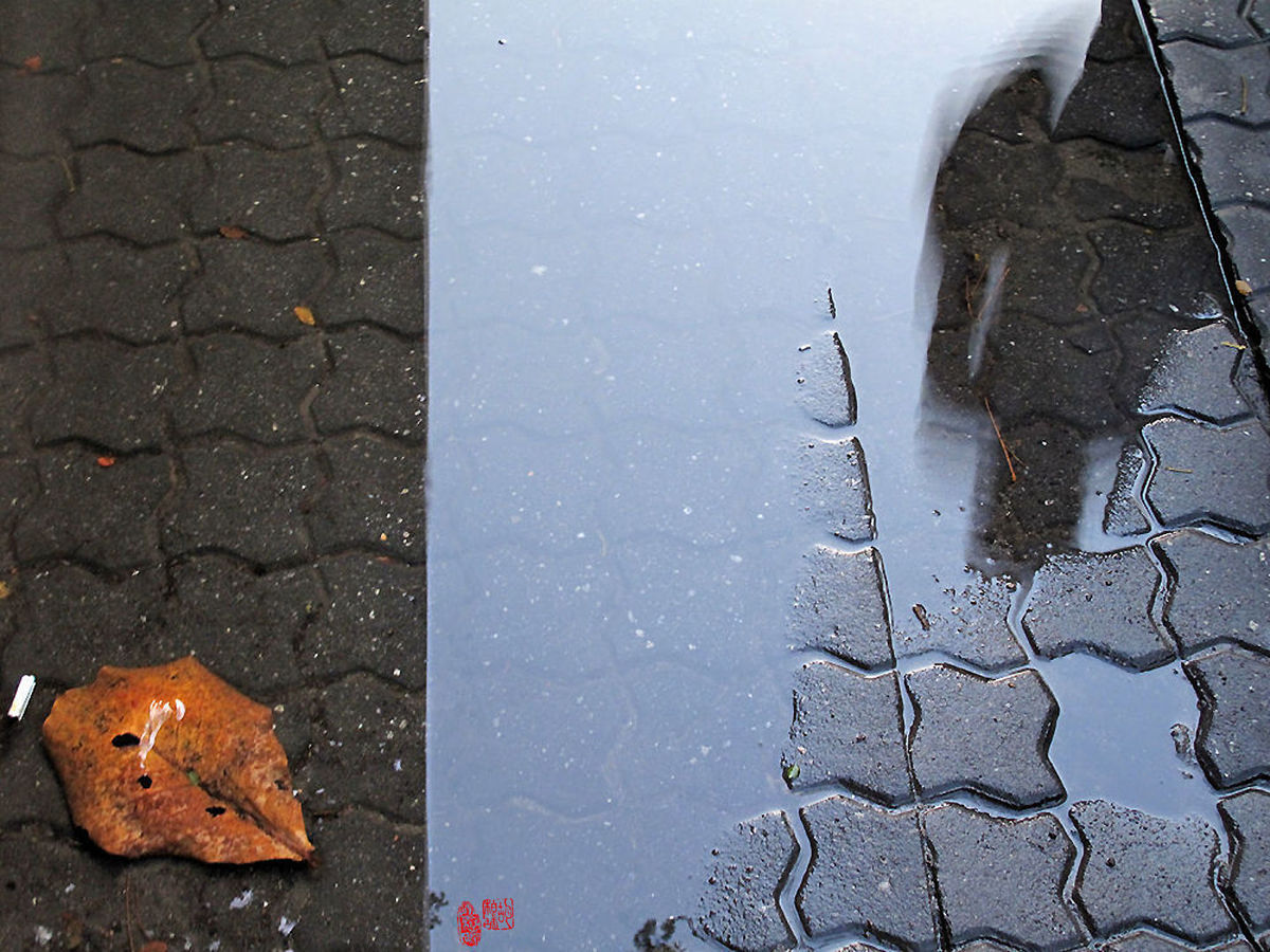 Searching for creativeity 