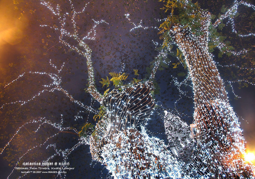 Petronas Twin Towers and Suria KLCC @ 2007 Sparkling white Christmas white LEDs decorative lights on an old tropical rain Tree (248k) Loading now ...