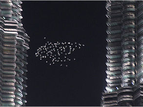 a scarely seen photo of migrating birds circulating the Petronas Twin Towers (200k Jpeg) Loading...