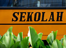 Bus Sekolah