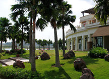 Lanscaping at the Back