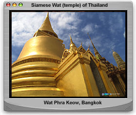 Simese King former Royal Palace at Bangkok (43k) Loading ...
