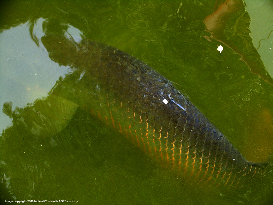 100+ years old San Bao Dong Cave Temple, Perak, Malaysia, Heritage reliogious site