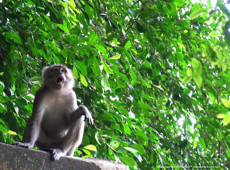 100+ years old San Bao Dong Cave Temple, Perak, Malaysia, Heritage reliogious site