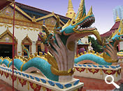 Sepients images at the entrance