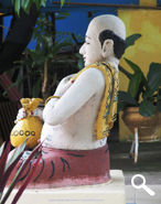 An unknown image in Indian outfit