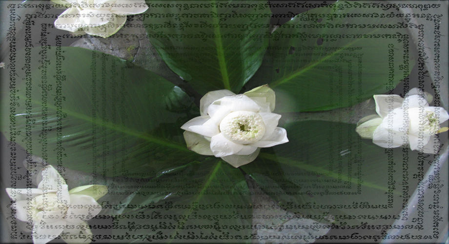 Lanna Scripts, Wat Buag Klog Noi (Buddhist temple), Chiangmai, Thailand