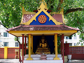 Compound of the Thai temple
