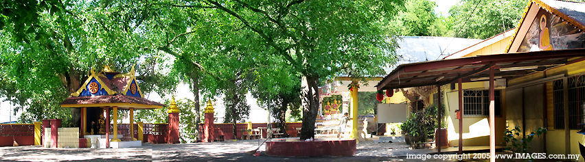 Panoramic view of its compound