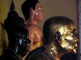 An enlarged secxtion pf the fe main images