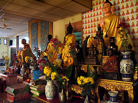 Various Images installed at the main hall