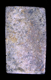 Soomdet Bangkhunprom BKP Tarnsa back view