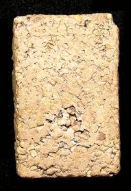 Soomdet Bangkhunprom  BKP Pim Yai  Nai rear view