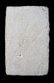 Soomdet Bangkhunprom  BKP Pim Yai  rear view