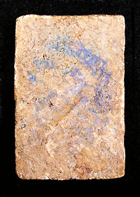 Soomdet Bangkhunprom  BKP Sangkathi Krut Mai back view