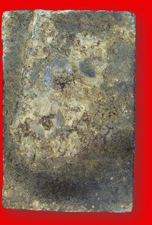 Soomdej Pilan curtain image rear section LINK