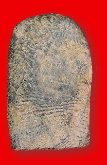 Soomdej Pilan  phra Leela rear section view