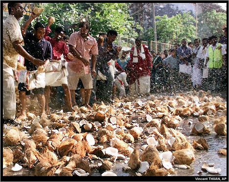 Coconut smashing along the ritual journay to Batu caves.