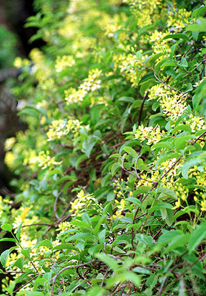 Still at the drain ? Yeaka... (26k) Loading ...