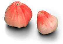 Jambu.jpg