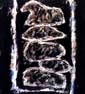 One World, 1992