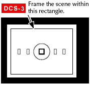 DCS-3screen.gif