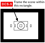 DCS-5screen.gif