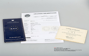 Leica M6 Sultan of Brunei Gold Edition w/Diamond top plate  literature and authentification 