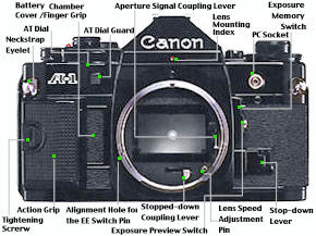FrontView.jpg (21k) Loading...
