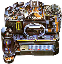 Trans.jpg (23k) Loading...