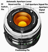 mapoldfdlens.jpg (13k) Loading...