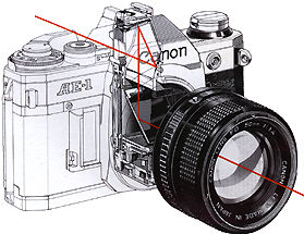 AE-1 TransView.jpg (21k)