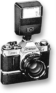 AE-I with Flash.jpg (13k) Loading...