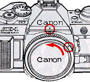 Alligh Index.jpg (9k)