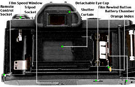 T50 DX filmback.jpg (10k)