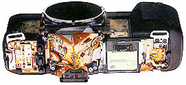 Chip Setbody.jpg (13k)