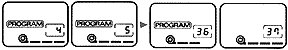LCD Autoload.gif