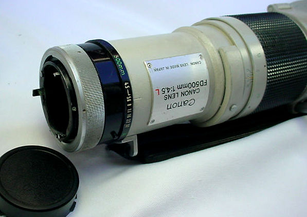 emanueFD500mmf4A.jpg