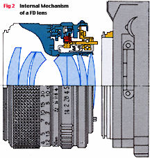 internalillus.jpg (20k)