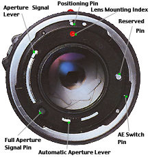 backview.jpg (18k)