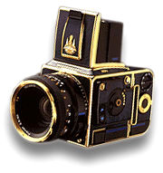 Thai King's model