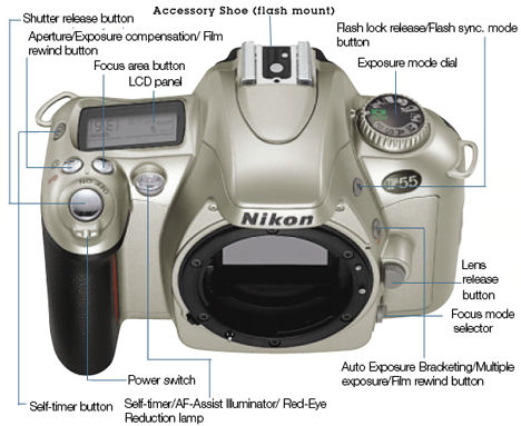 Nomencluture Nikon F55.jpg
