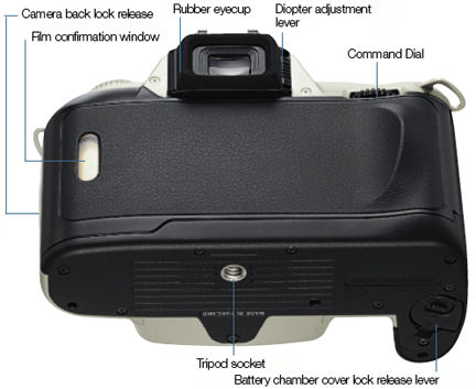 Nomencluture Nikon F55 rear.jpg